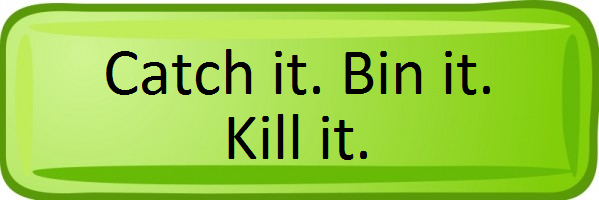 Catch it. Bin it. Kill it.